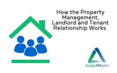 How the Property Management, Landlord  and Tenant Relationship Works