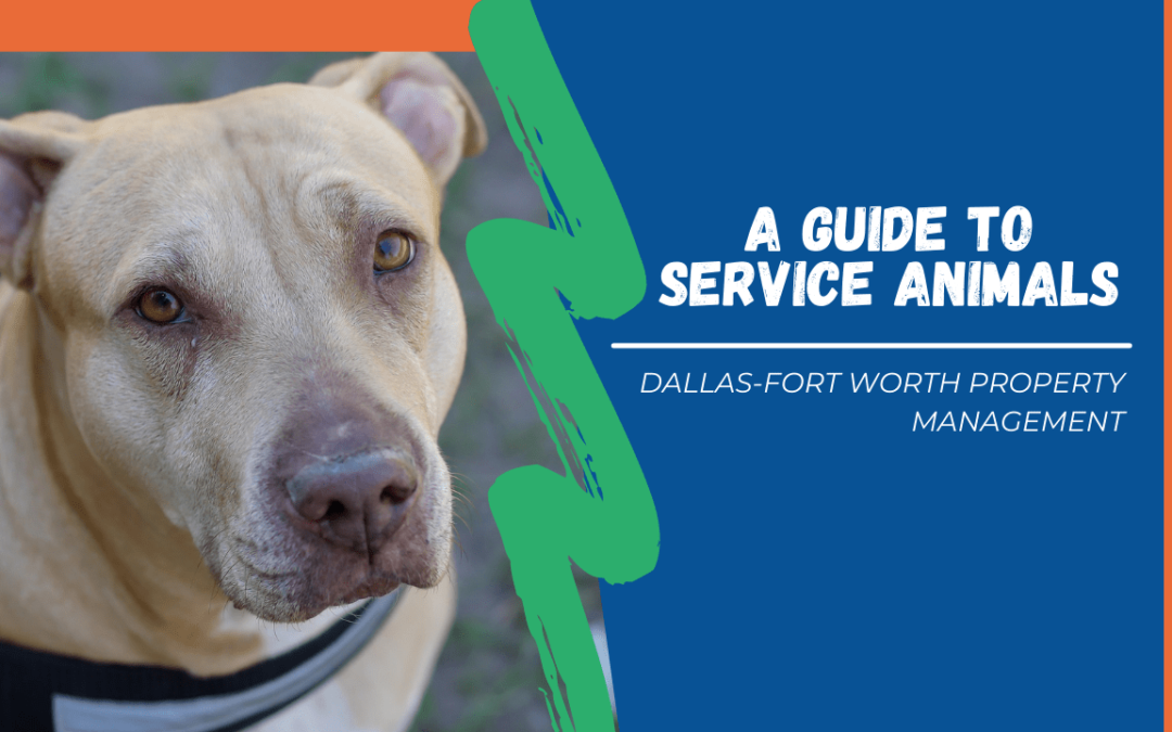 A Guide to Service Animals | Dallas-Fort Worth Property Management - Banner