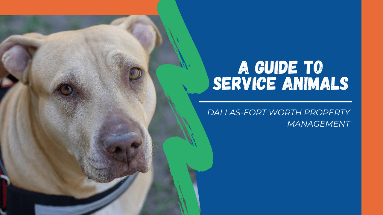 a-guide-to-service-animals-dallas-fort-worth-property-management