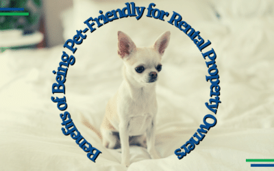 The Benefits of Being Pet-Friendly for Dallas Fort Worth Rental Property Owners
